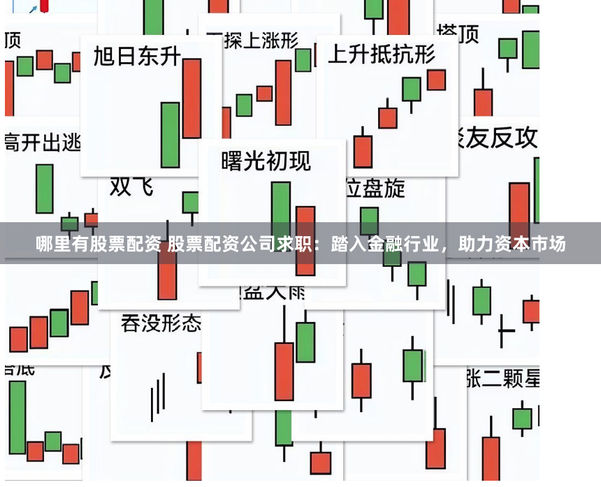 哪里有股票配资 股票配资公司求职：踏入金融行业，助力资本市场