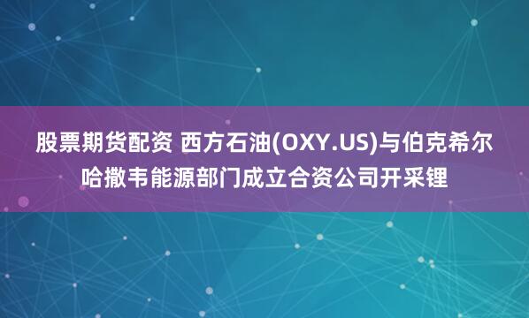 股票期货配资 西方石油(OXY.US)与伯克希尔哈撒韦能源部门成立合资公司开采锂