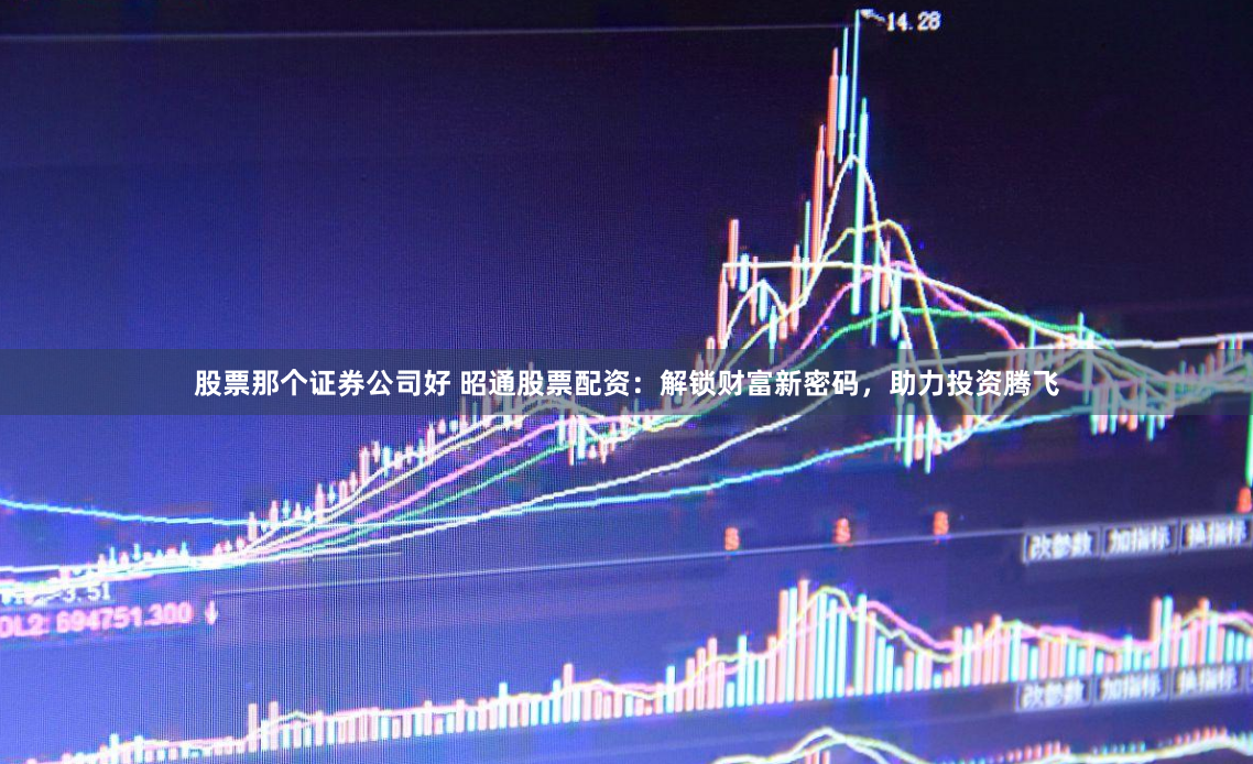 股票那个证券公司好 昭通股票配资：解锁财富新密码，助力投资腾飞